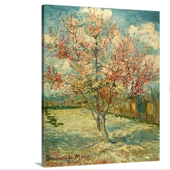 🥕Van Gogh Pink Peach Tree - Picture 1 of 6